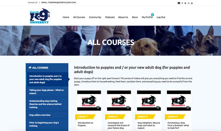 Nashville Dog Training Programs | Nashville K-9