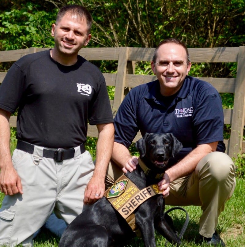 Electronic detection hot sale k9 training