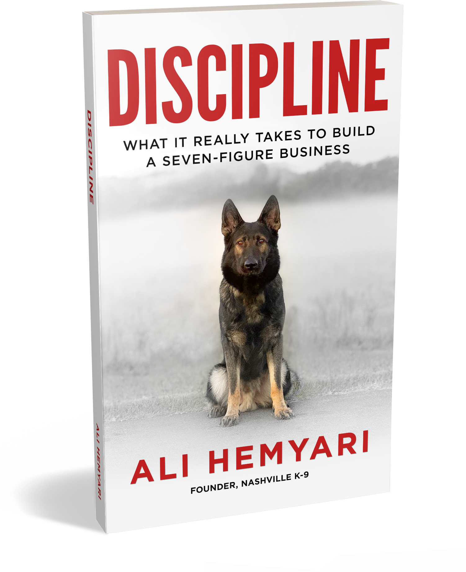 Discipline Book - Ali Hemyari